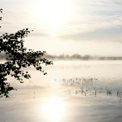 Геннадий Иванов, Санкт-Петербург