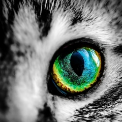 Юлия Протасенко, 17.09.1986, Рудня