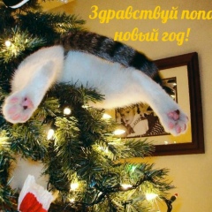 Татьяна Охременко, Москва