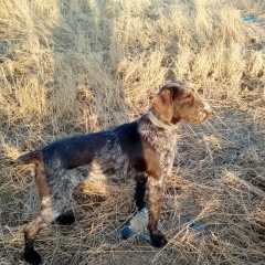 Жайдарбек Барлыбаев