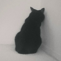 Алексей Блефамер, 15.12.1986