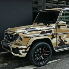 Нурсултан Меркибаев, 23.02, Алматы