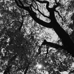 Ирина Маслова, 26.07.1981