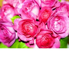 Елена Ленина, 03.07, Элиста