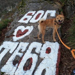 Natalia Sobakina, 23.09, Санкт-Петербург