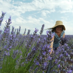 Елена Сулейманова, 08.02.1980