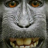 Тимур Насхутдинов, 21.02.1985, Уфа