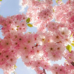 Ника Рыкова, 03.01, Санкт-Петербург