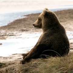Григорий Беседа, 14.11.1984, Москва