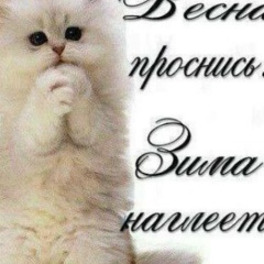 Газимагомед Газимагомедов