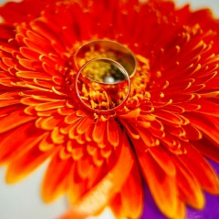 Виталик Жолтвинский, 04.07.1981, Черновцы