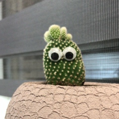 Анатолий Васильев, 05.11, Дубовское