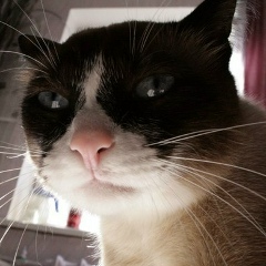 Маша Хомич, 24.08, Киев