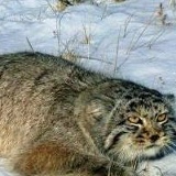 Алексей Сторчак, 21.06.1961, Санкт-Петербург