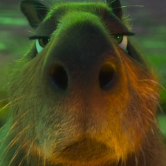 Павел Ким, 28.03.1988, Алматы