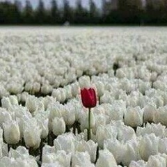 Алия Битимова, Актобе