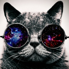 Mikhail Mikhail, 24.03