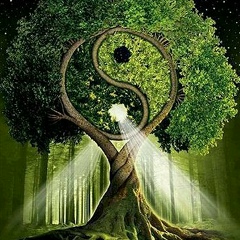 Владимир Маркитан, 16.08.1973, Санкт-Петербург