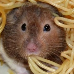 Тарас Подгаецкий, 05.04.1994, Киев