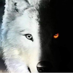 Аркадий Щеголихин, 03.10.1970, Томск