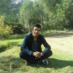 Picasso Devensy, 02.11.1982, Alger