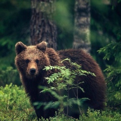 Maksim Kazakov, 12.10, Тверь