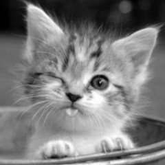 Кристина Макажанова, 07.08.1992, Новосибирск