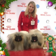 Evgenia Kantutis, 21.01, Санкт-Петербург