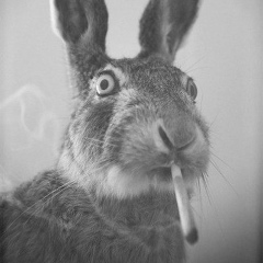 Илья Тараканов, 02.08, Москва