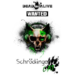 Cat Schrödinger, 18.03, Санкт-Петербург