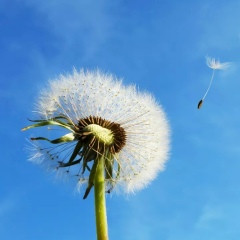 Азамат Серик, 23.04, Усть-Каменогорск
