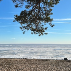 Евгений Евгений, 03.12, Санкт-Петербург