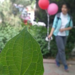 Kanykei Art, 04.06.2001, Москва