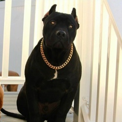 Иван Иванов, Харьков