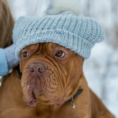 Алексей Торопин, Мурманск