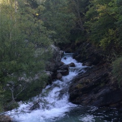 Тарас Мицак, 26.08, Коломыя