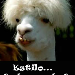 Ancient Alpaca, 27.02