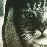 Александр Ипполитов, 03.03, Санкт-Петербург