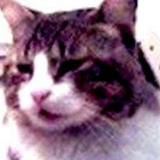 Débora Longen, 17.12.1987, Blumenau