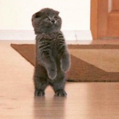 София Абубакарова, 08.04, Москва