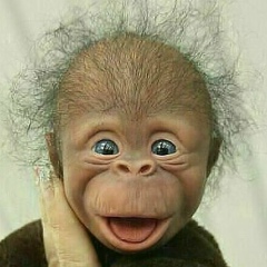 Антон Черненко, 13.03.1988, Омск