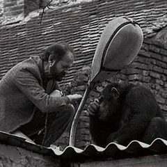 Исай Колюжный, 27.09, Вавилон