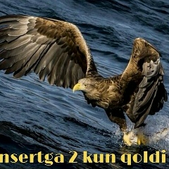 Farruhbek Madrakimov, 04.05.1905, Ош