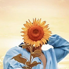 Safronov , Санкт-Петербург