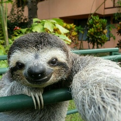 Шамиль Челнинский, 28.08.1990, Набережные Челны