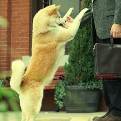 Влад Волков, 12.08.1998, Волгодонск