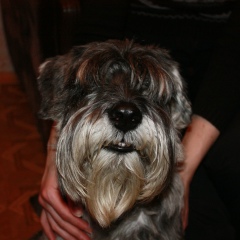 Елена Кузнецова, 09.11, Санкт-Петербург