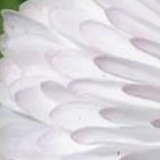 Наталья Гергель, 02.08