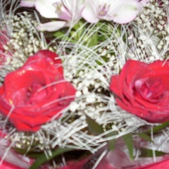 Любовь Нестер, 01.05, Калининград