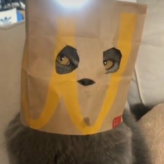 Николай Александрович, 25.11, Москва